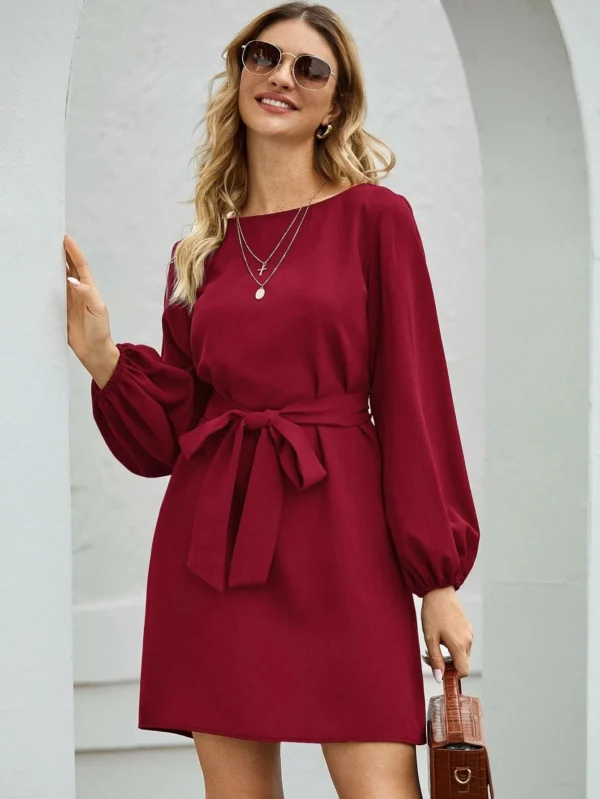 Women's Dresses 2025 Spring Summer New Lady Elegant Long Sleeve O-neck Slimming Waist Belt Fashion Solid Color Casual Dress - 图片 6
